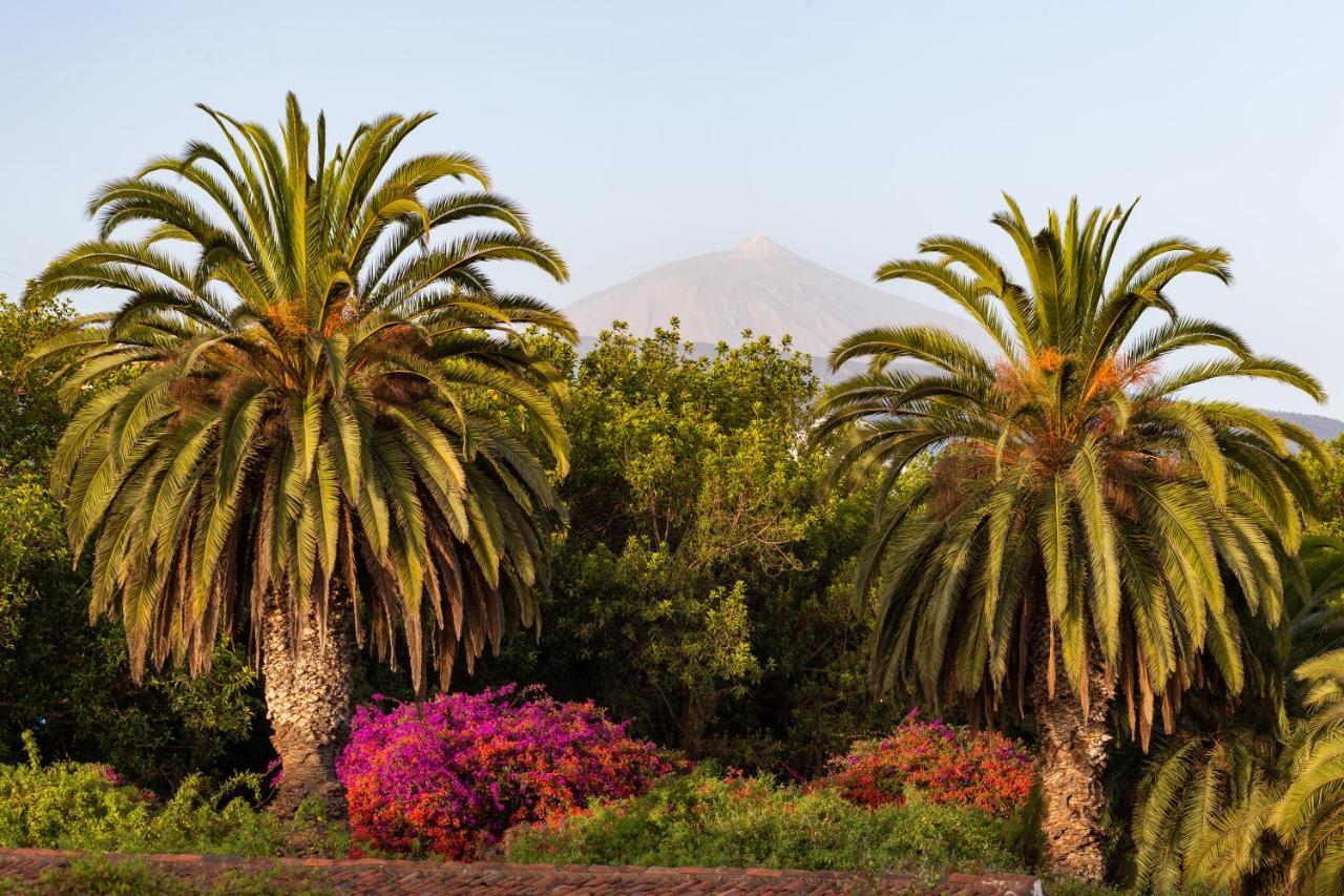Apartment With Mount Teide And Sea Views Santa Úrsula 외부 사진